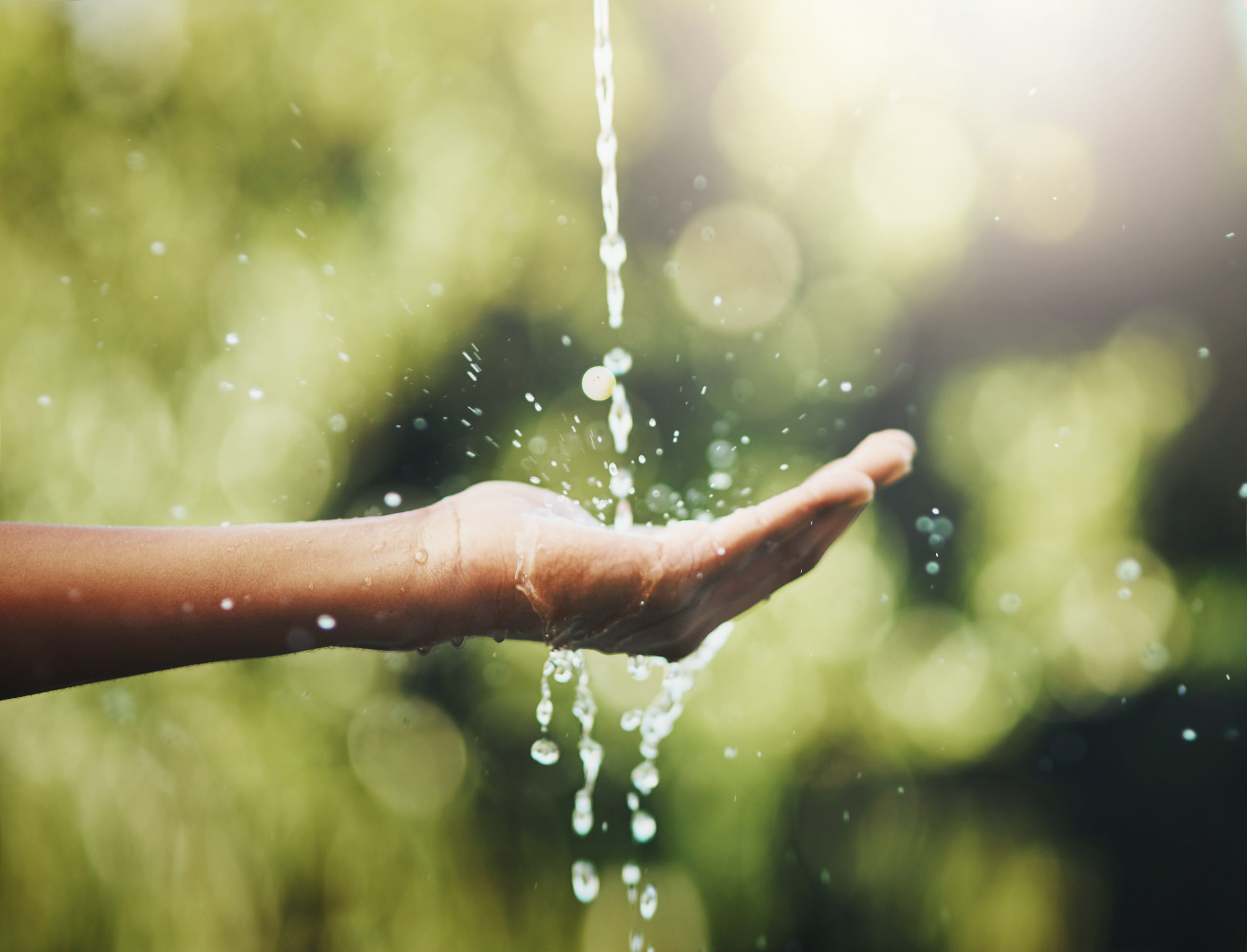 Hygiene, washing and saving water with hands against a green nature background. Closeup of one person holding out their palm to save, conserve and refresh with water in a park, garden or backyard.